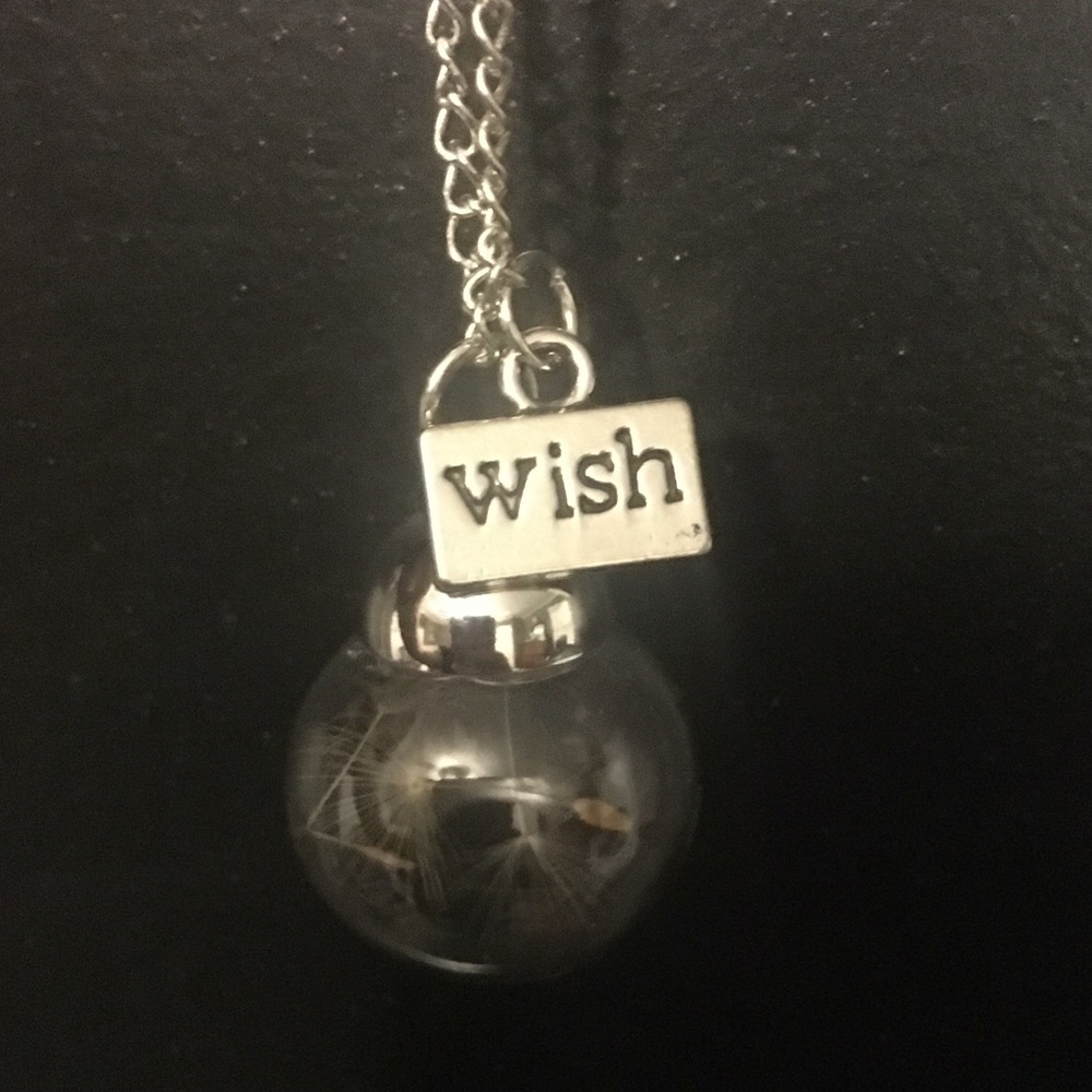 Wish necklace with dandelion seed